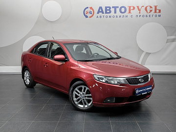 Cerato