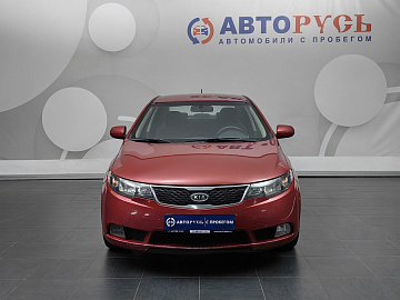 Cerato