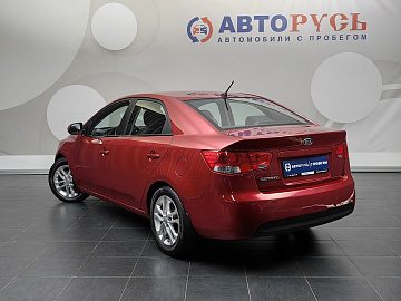 Cerato