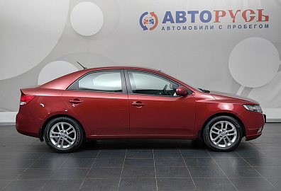 Cerato